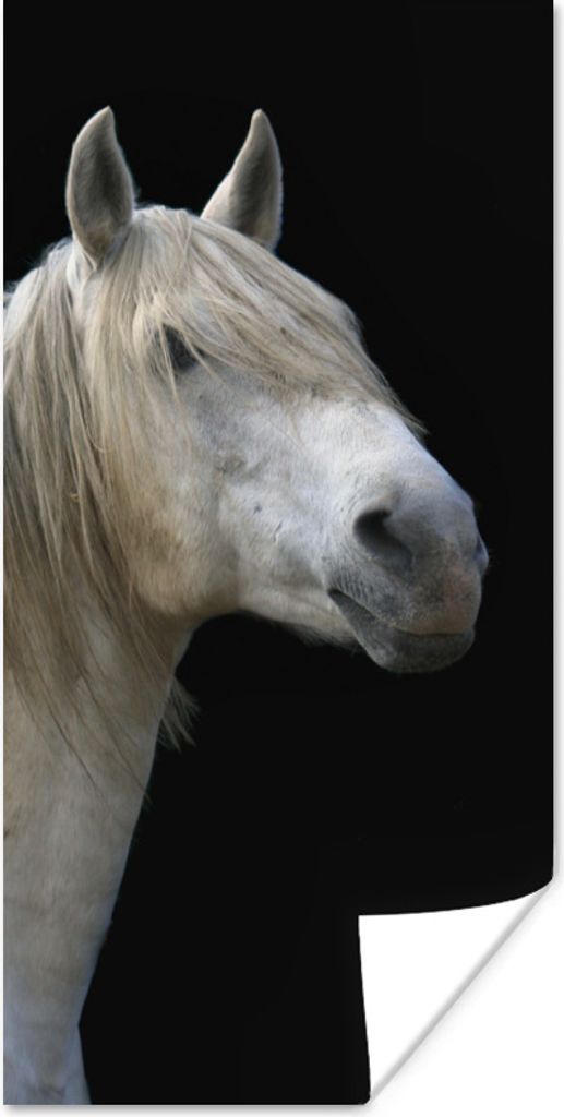 MuchoWow Poster Pferde - Pilz - Schwarz 60x120 cm - Wandschmuck