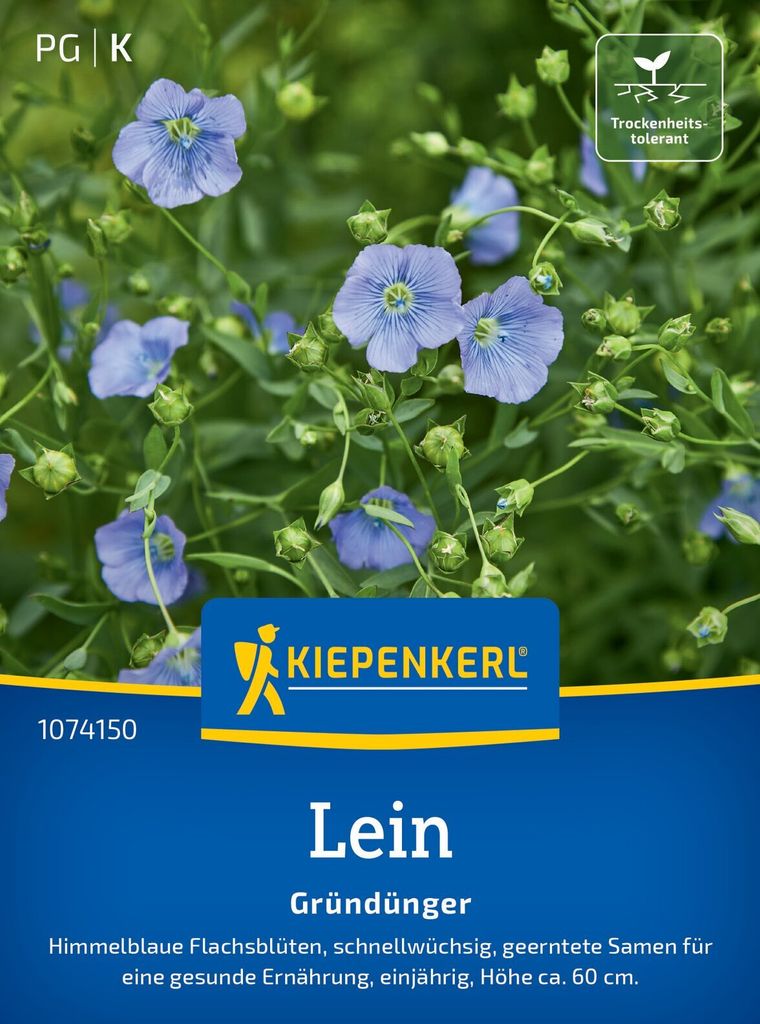 Kiepenkerl Leinsamen Blauer Flachs Linum usitatissimum 8-10 m²