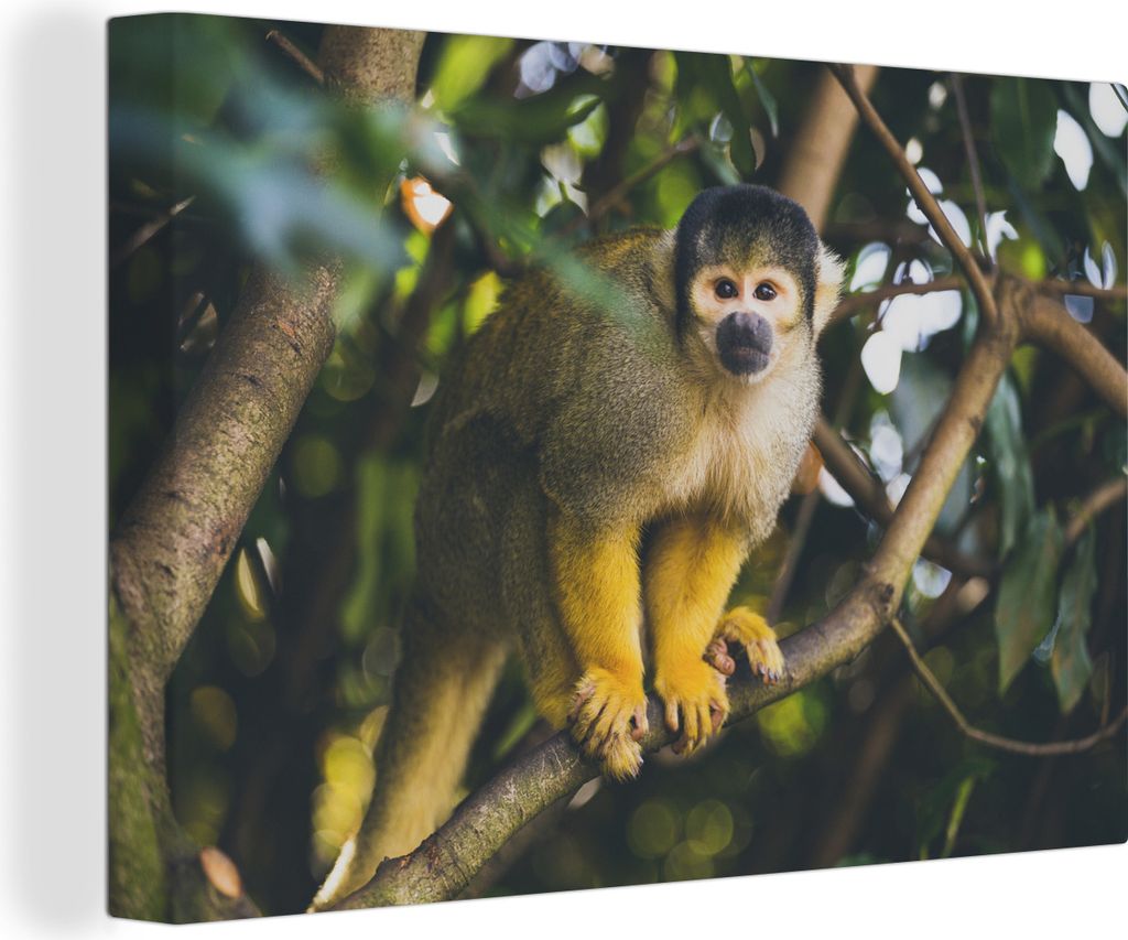 OneMillionCanvasses - Leinwandbilder - 140x90 cm, Nahaufnahme Affe im Baum, Wandbilder Kunstdruck Wanddekoration - Foto auf Leinwand - Gemälde a...