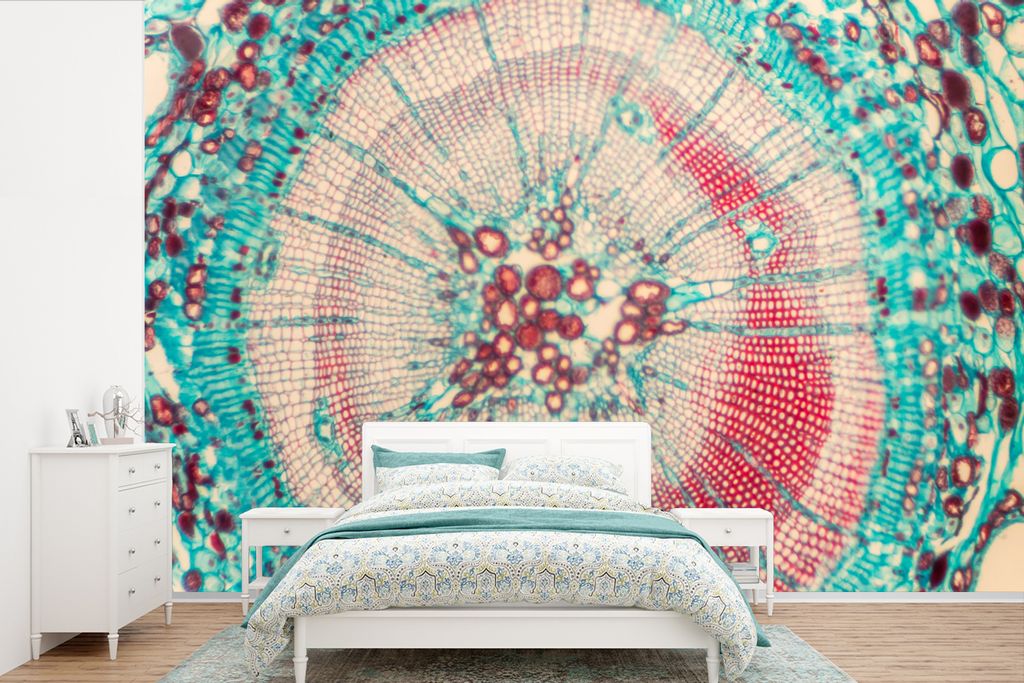 MuchoWow Fototapete für Wohnzimmer oder Schlafzimmer Wandtapete Vinyl Motivtapete Kreis - Blau - Rot - 600x400 cm - Vinyltapeten