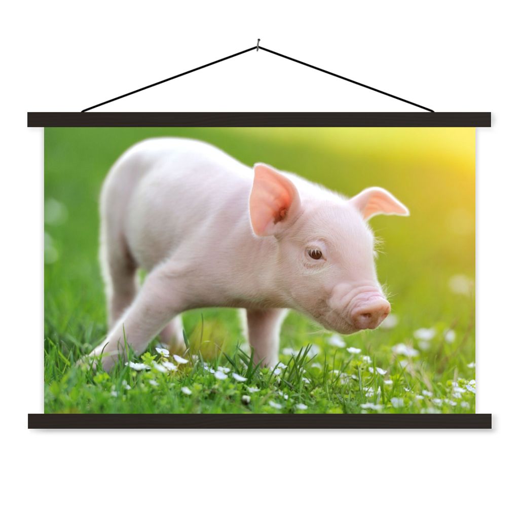 MuchoWow Textilposter Tiere - Ferkel - Schwein 60x40 cm mit schwarzem Rahmen - Hölzernes