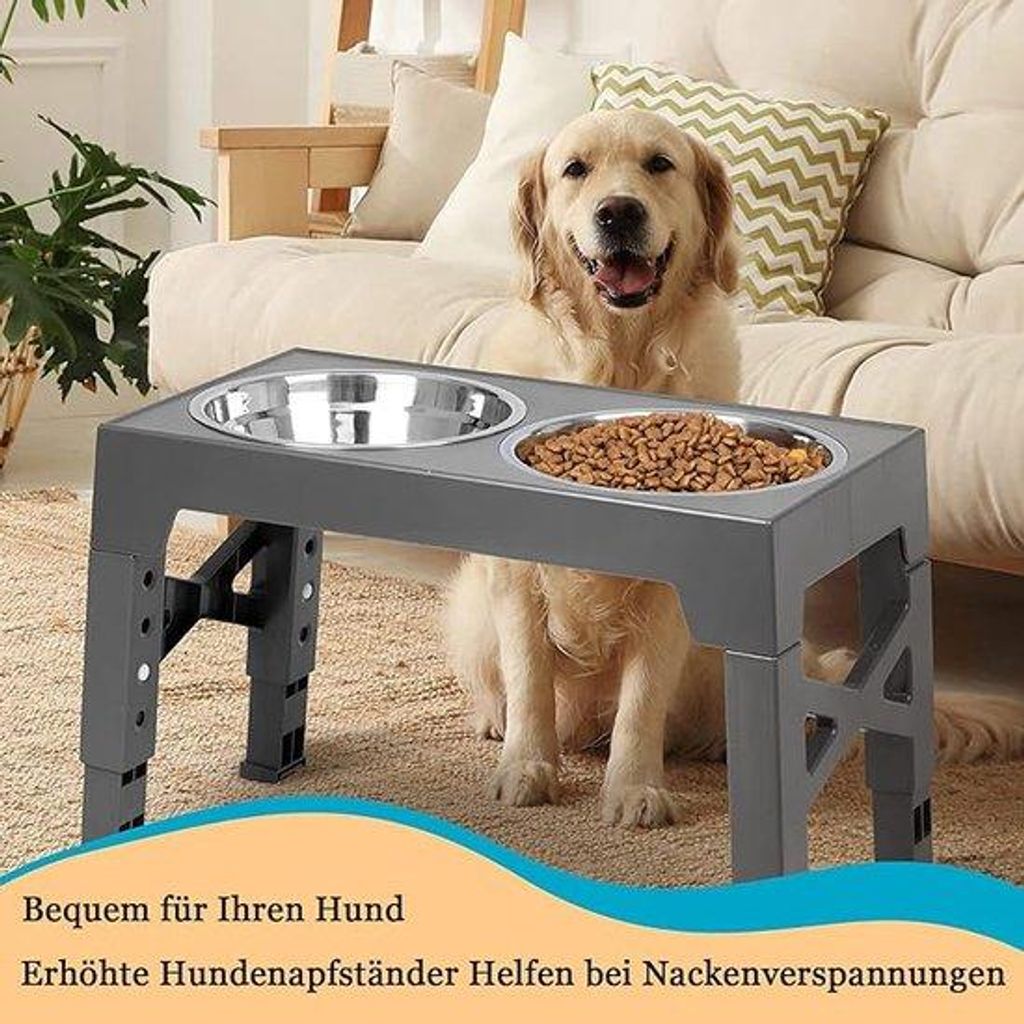 Erhöhtes Futterstation für Hunde, Haus