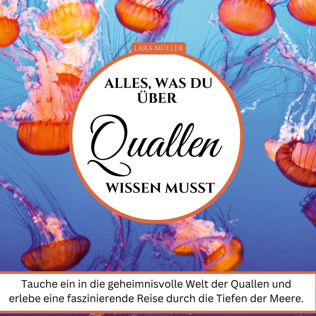 Alles, was du über Quallen wissen musst