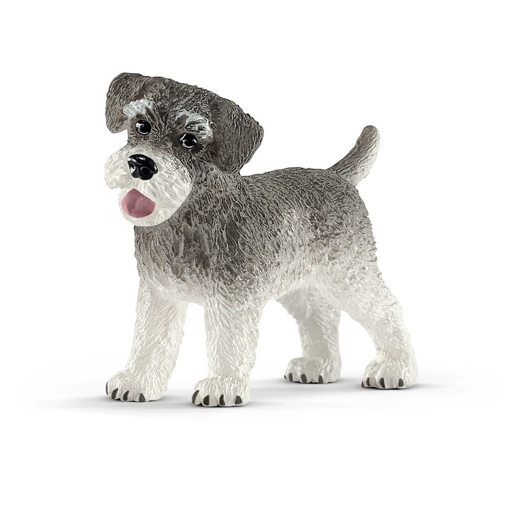 Schleich Zwergschnauzer, 13892 Produktbild 
