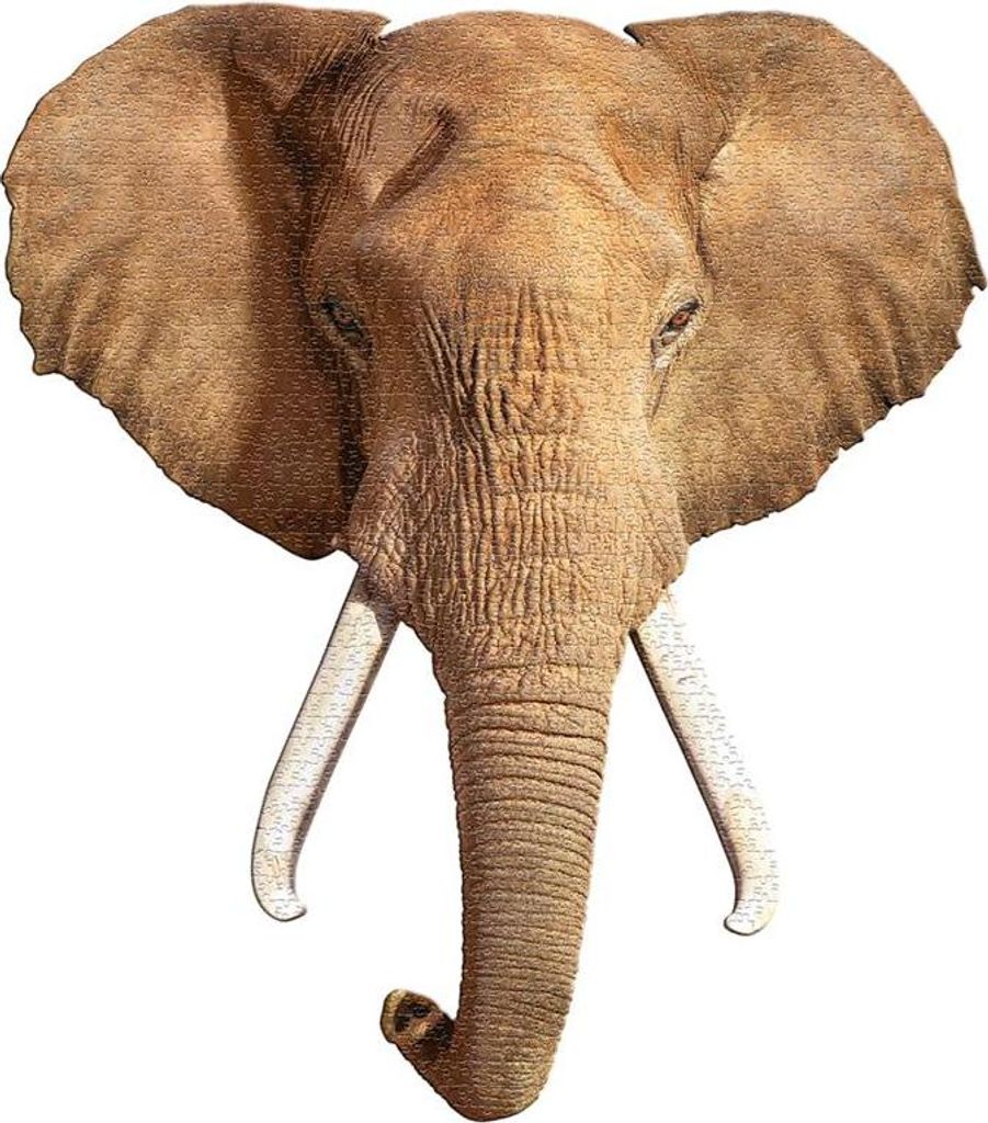 MAD CAPP Puzzle Elefant Tiere 700 Teile Karton