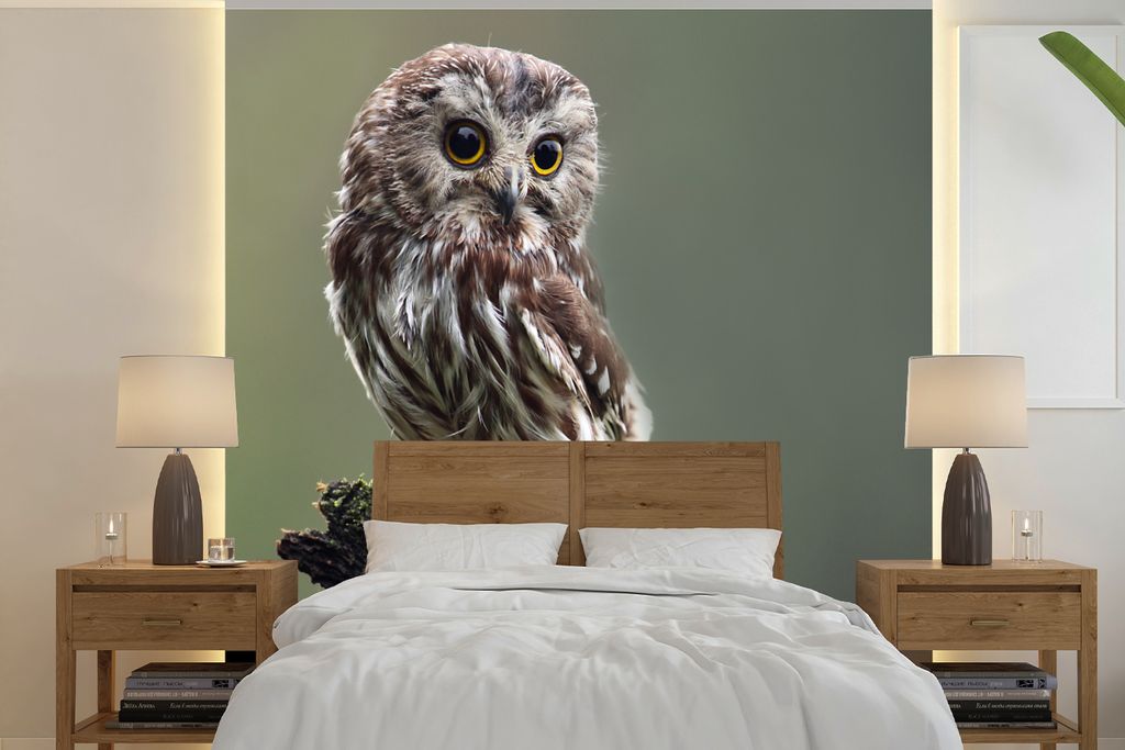 MuchoWow Fototapete für Wohnzimmer oder Schlafzimmer Wandtapete Vinyl Motivtapete Nahaufnahme einer kleinen Eule - 350x350 cm - Schlafzimmertapete