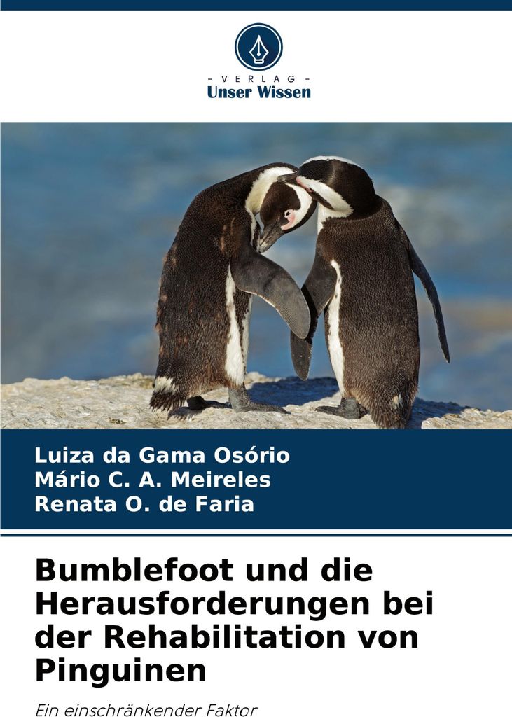 Bumblefoot und die Herausforderungen bei der Rehabilitation von Pinguinen