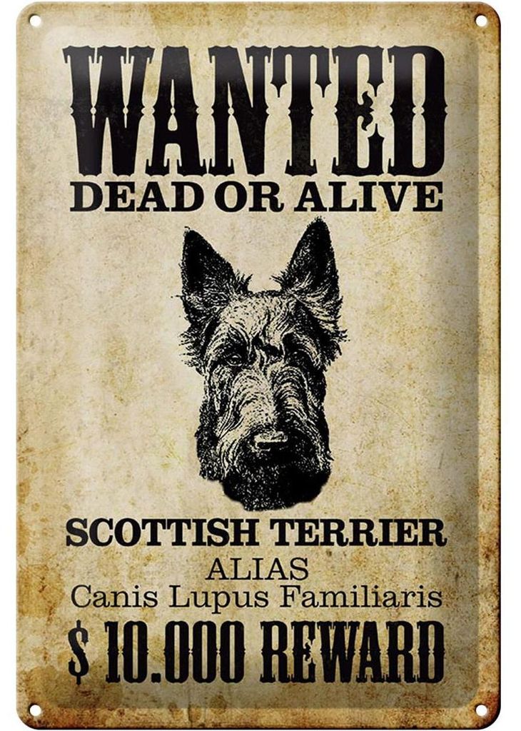 Blechschild Hund 20x30cm wanted Scottish Terrier