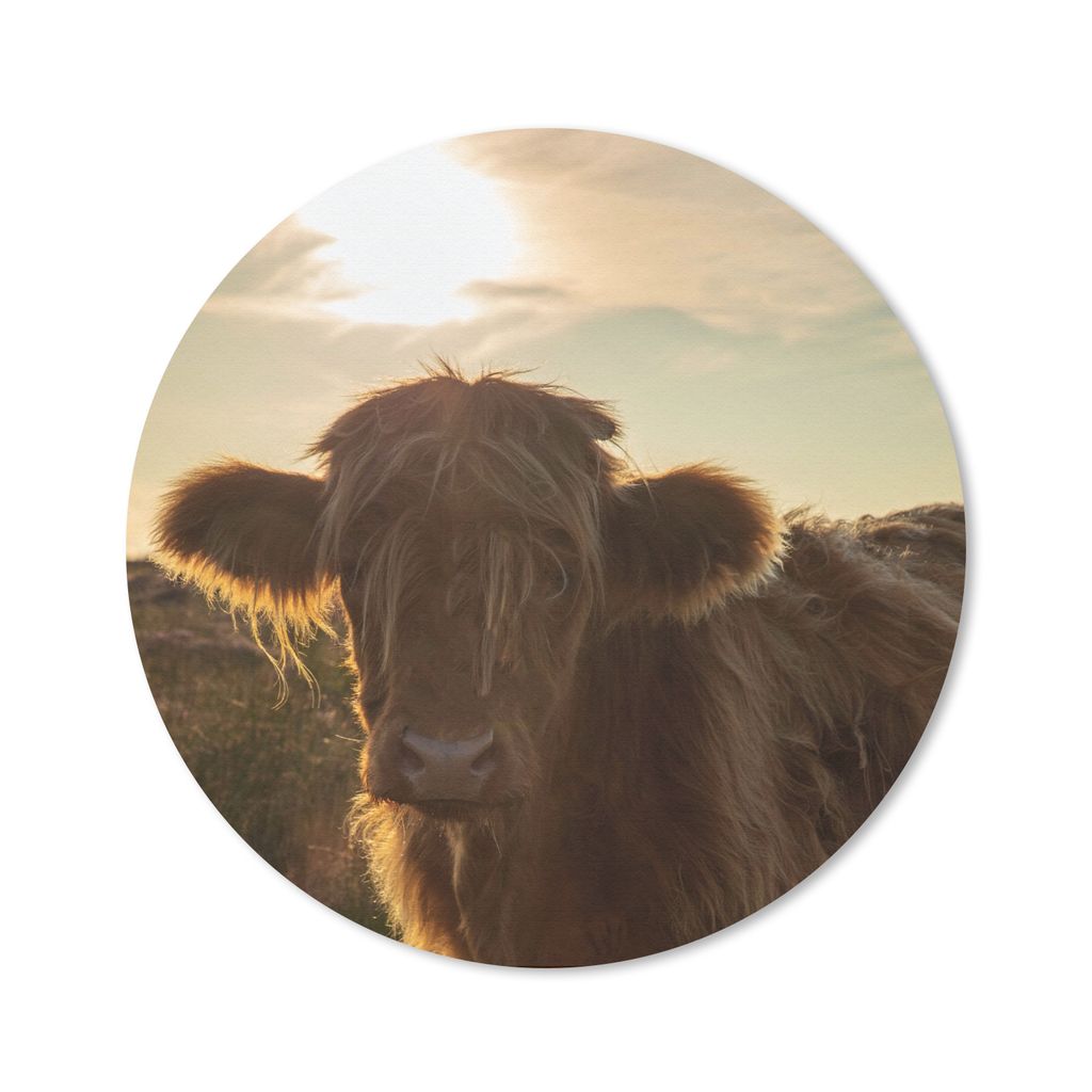 MuchoWow Mauspad Mousepad Schottischer Highlander - Sonnenuntergang - Gras 50x50 cm - Mousepads - Maus Mat - Pad - Mausunterlage - Vinyl