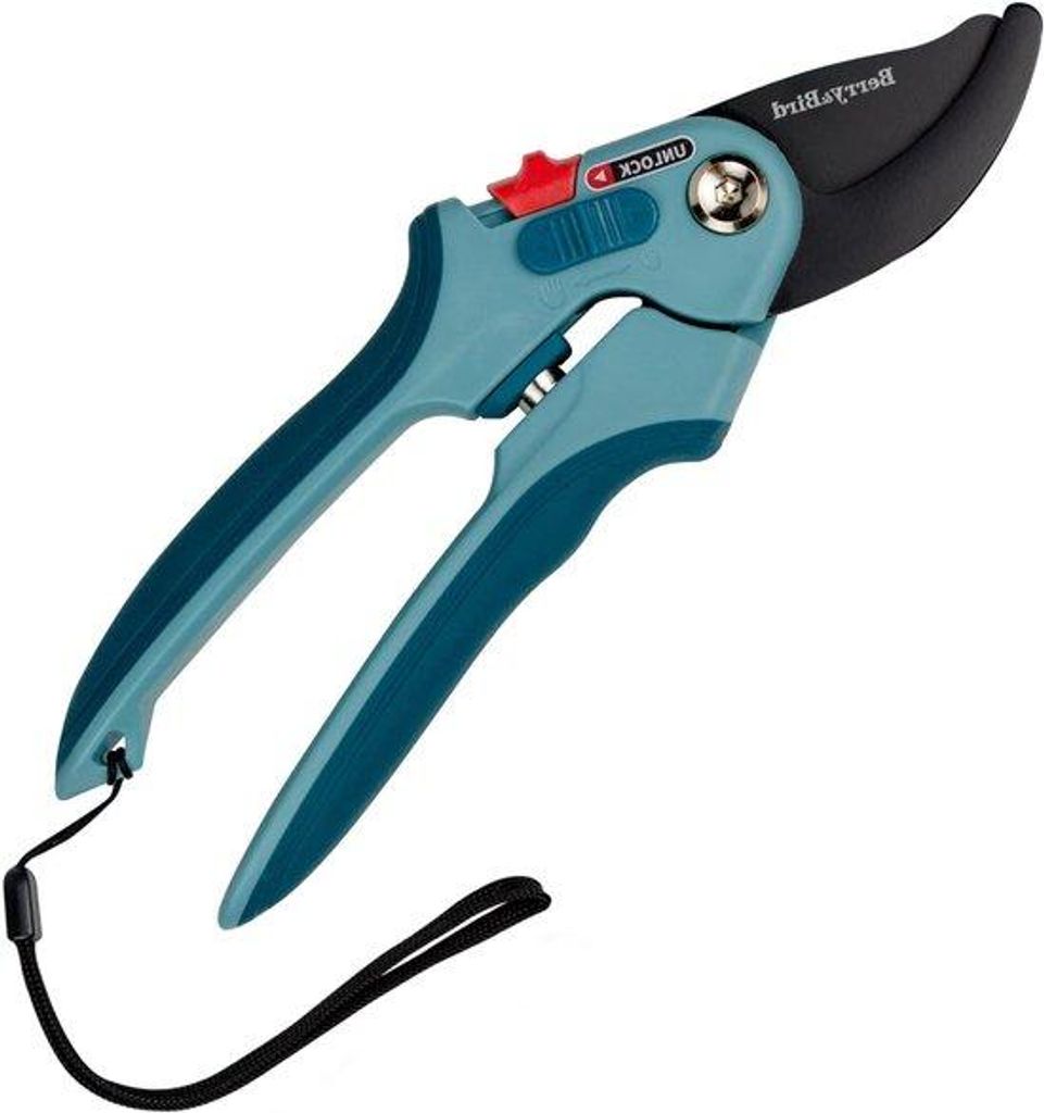 Gartenschere 22cm mit einstellbarer Größe und Sicherheitsverriegelung