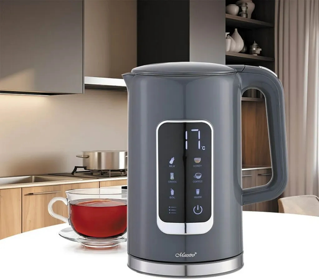 Bouilloire Maestro MR-024-GREY avec arrêt automatique et filtre