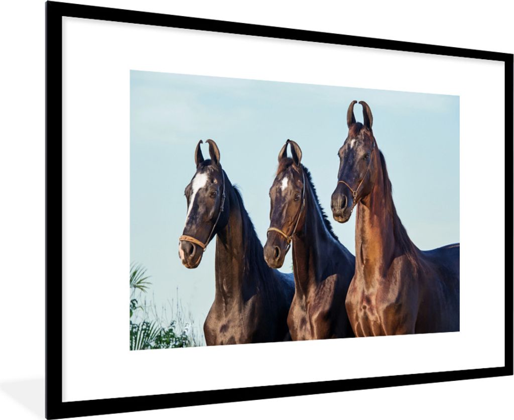 MuchoWow Gerahmtes Poster Pferde - Halfter - Braun 90x60 cm - Poster mit Schwarzem Bilderrahmen Wandposter Rahmen Foto Bilder - Wanddekoration - ...