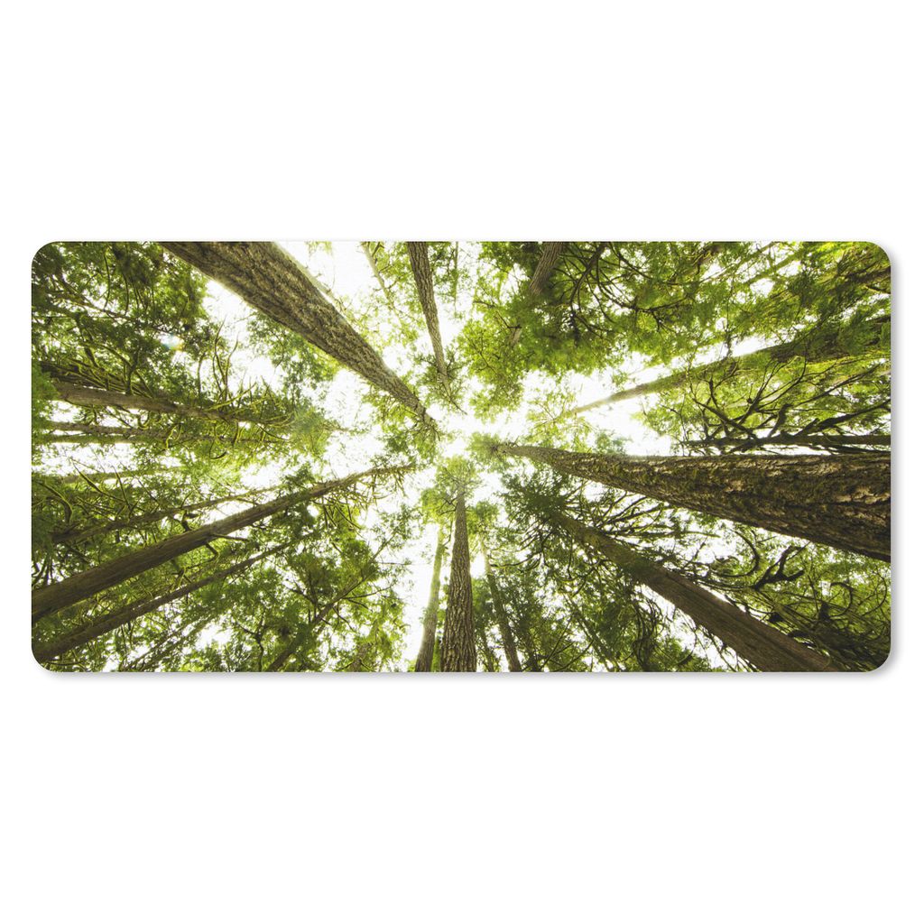 MuchoWow Mauspad Mousepad Blick von unten auf die hohen moosbewachsenen Bäume des Regenwaldes 60x30 cm - Mousepads - Maus Mat - Pad - Mausunterl...