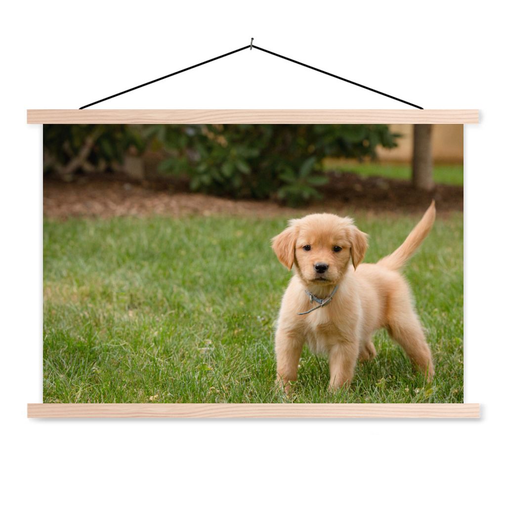 MuchoWow Textilposter Golden Retriever Welpe im grünen Gras 120x80 cm mit holzfarbenen Rahmen - Aufhängeset