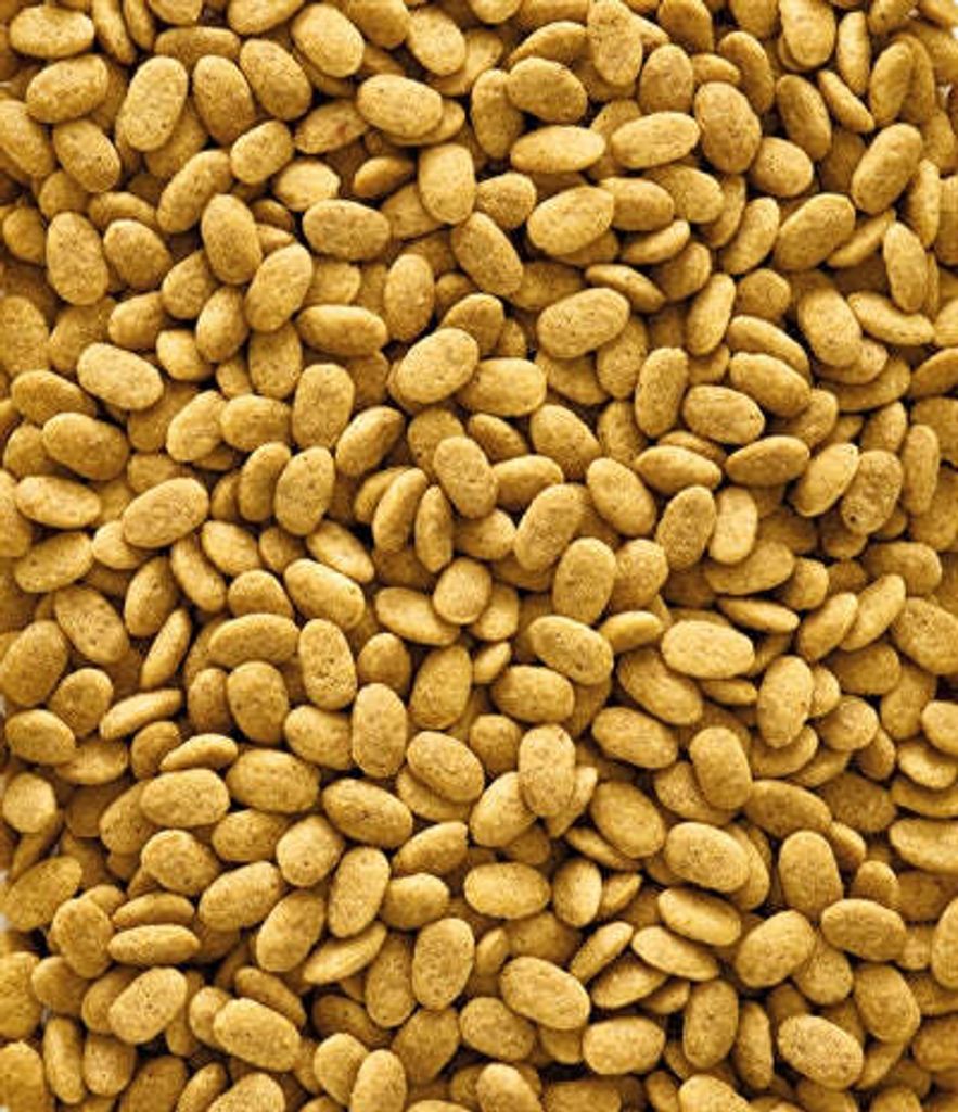 Versele Laga NutriBird P15 Original 10kg - Gesundes Futterpellets für große PapageienPapageienfutter Versele Laga NutriBird P15 Original 10kg - P...