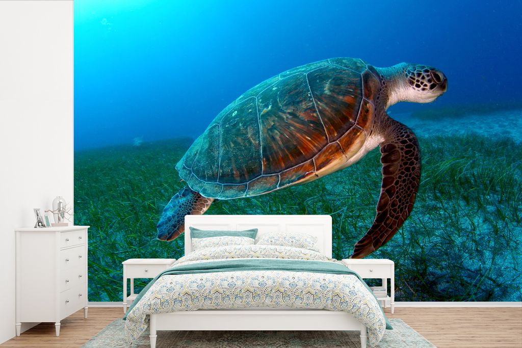 MuchoWow Fototapete für Wohnzimmer oder Schlafzimmer Wandtapete Vinyl Motivtapete Grüne Schildkröte schwimmt über dem Seegras - 330x220 cm - ...