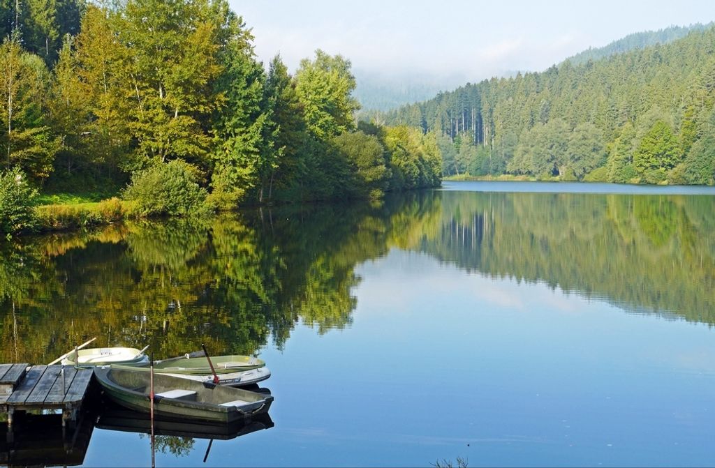 hansepuzzle 48014 - Nördlicher Schwarzwald Puzzle, 500 Teile, Orte, 46,0 x 30,0cm mit hochwertiger Aufbewahrung, Kartonbox & Beutel