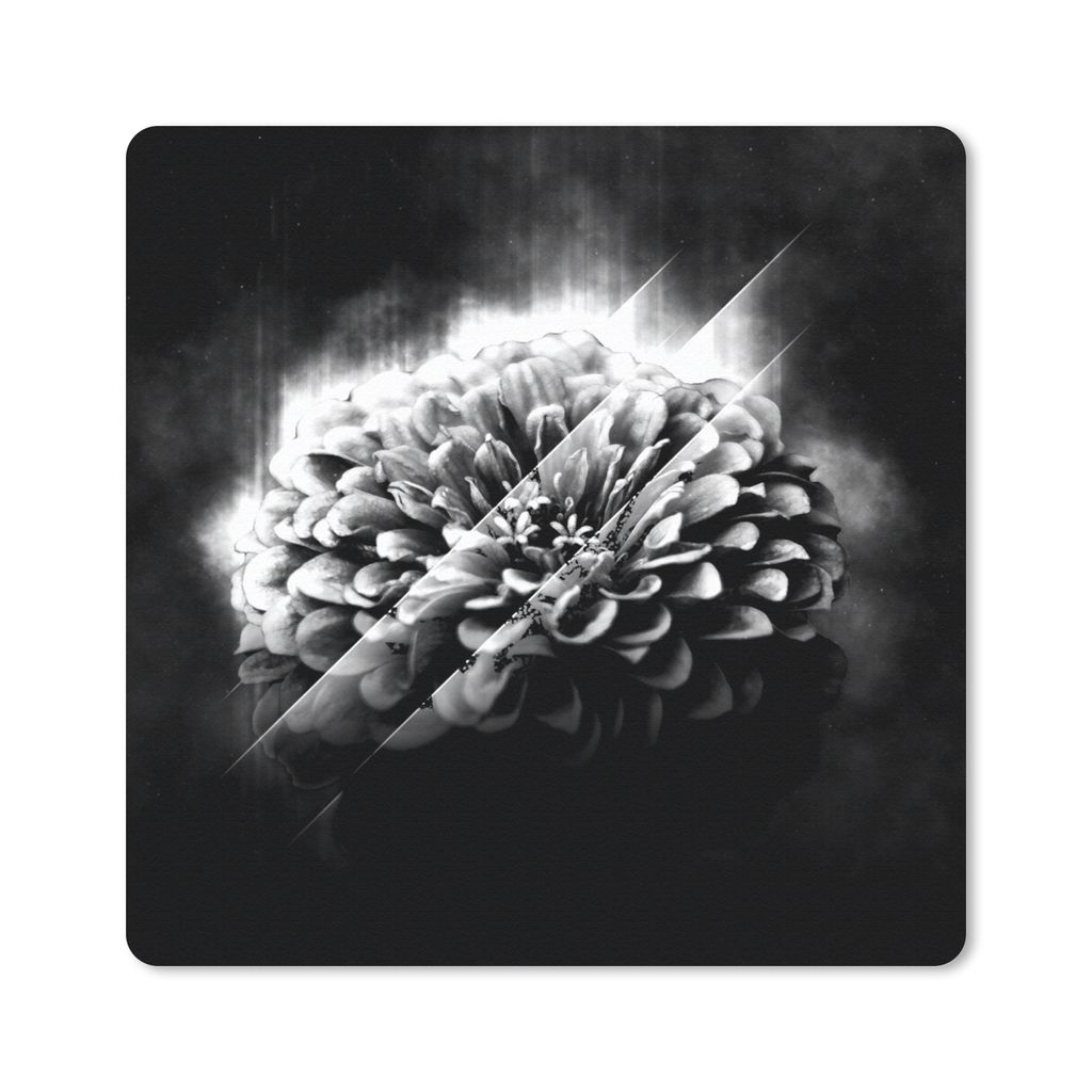 MuchoWow® Mauspad Mousepad Rosen - Blumen - Licht - Schwarz Produktbild 