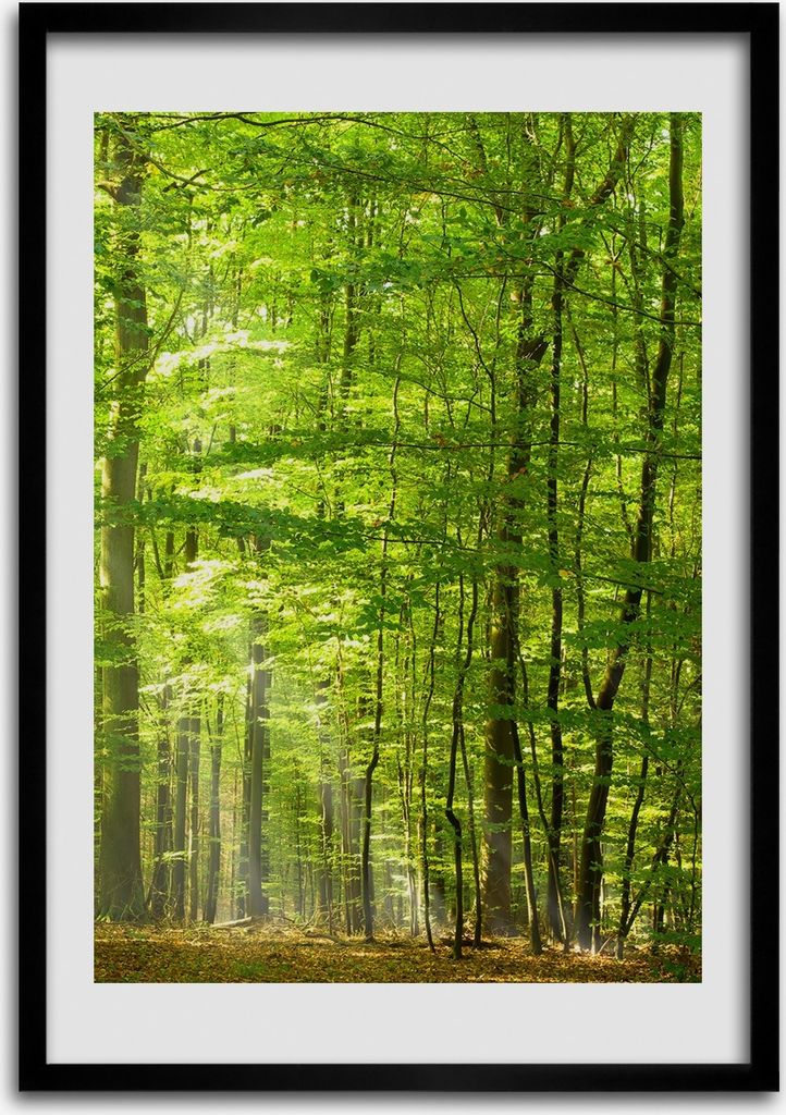 Bild - Bilderrahmen - Foto - 70 cm x 100 cm - MDF - Rahmen - Wandkunst - Buchenwald