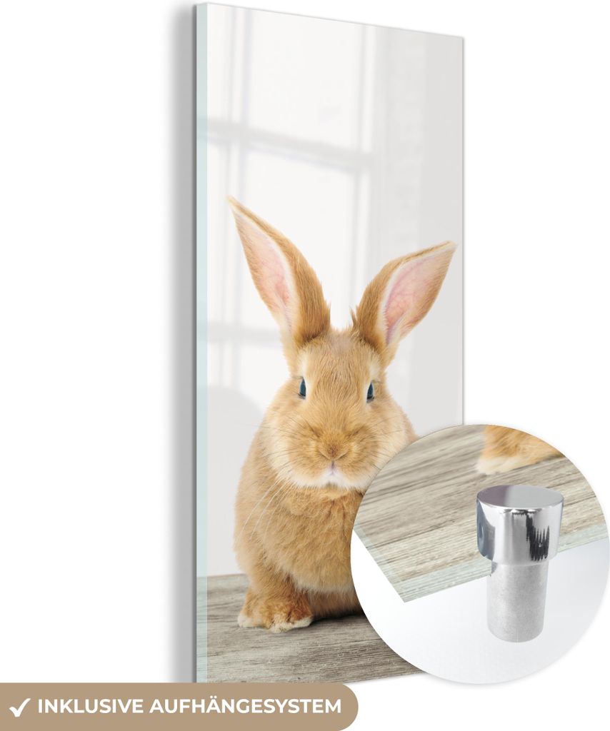 MuchoWow Glasbilder - Bilder auf Wandbild - Foto auf Glas Kaninchen - Babykaninchen - Tiere - Kinder - Mädchen - Jungen 60x120 cm Wanddekoration a...