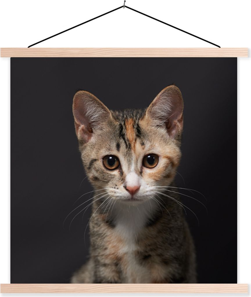 MuchoWow Textilposter Katze - Schwarz - Porträt 40x40 cm mit holzfarbenen Rahmen - Posterleiste