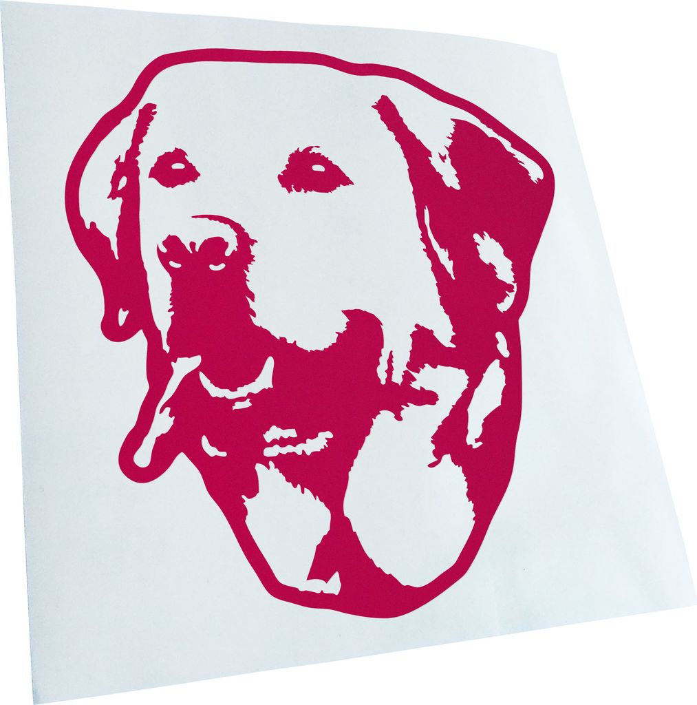 Kiwistar - Autoaufkleber - Golden retriever Hund - Pink - 40x36cm - Aufkleber für Auto, Laptop, Fahrrad, LKW, Motorrad mehrfarbig JDM Decal Racing