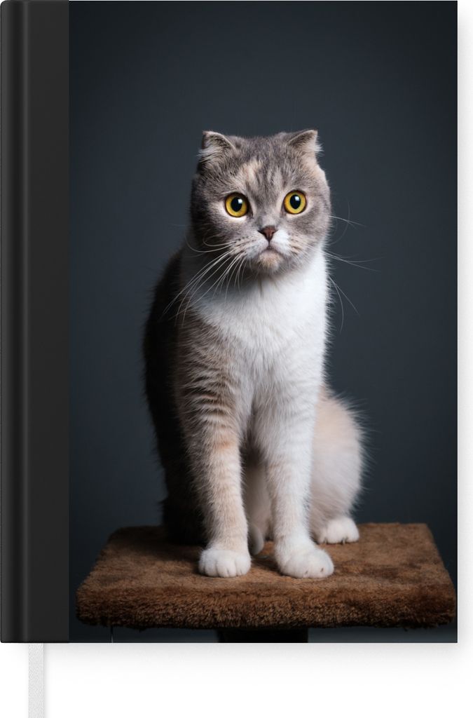 MuchoWow Notizbuch Tagebuch Haushaltsbuch Notebook A5 Katze - Haustiere - Licht - Notizblock - Notizheft - Notebook - Schreibblock - Papier