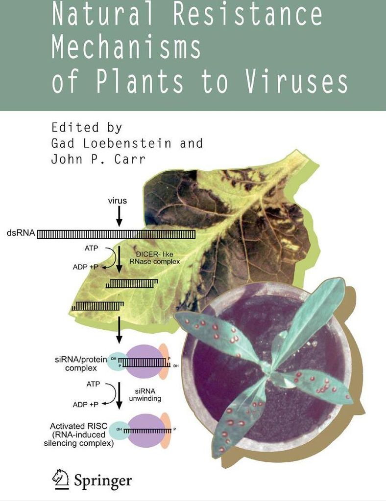Natural Resistance Mechanisms of Plants to Viruses