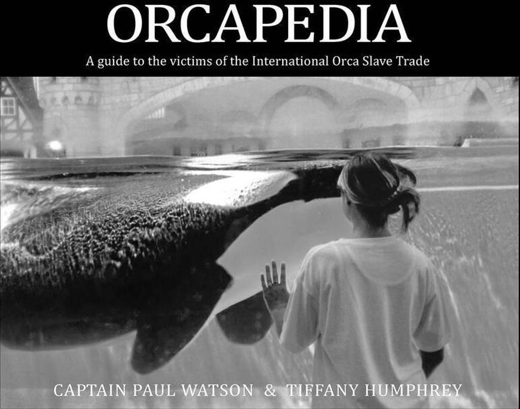 Orcapedia – Lingua: Inglese