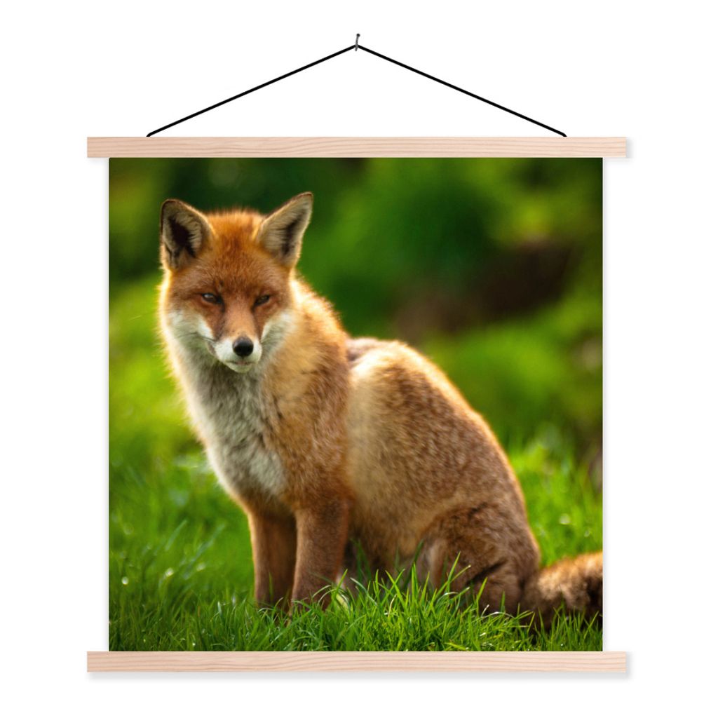 MuchoWow Textilposter Fuchs - Licht - Gras 120x120 cm mit holzfarbenen Rahmen - Textil-Poster