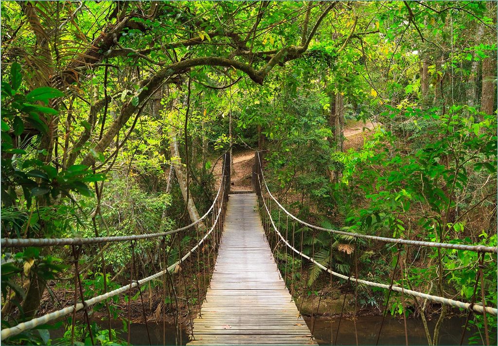 Wallario Fototapete Vliestapete, seidenmatte Oberfläche, einfache Verarbeitung, Größe 300 x 210 cm, Motiv Hängebrücke im Urwald grüner Dschu...