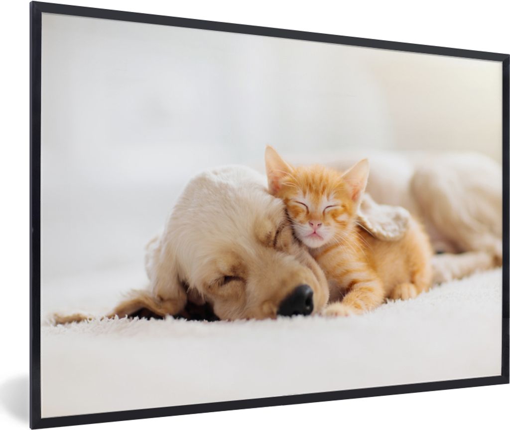 MuchoWow Gerahmtes Poster Tiere - Hund - Kätzchen - Rot 90x60 cm - Poster mit Schwarzem Bilderrahmen Wandposter Rahmen Foto Bilder - Fotorahmen ...