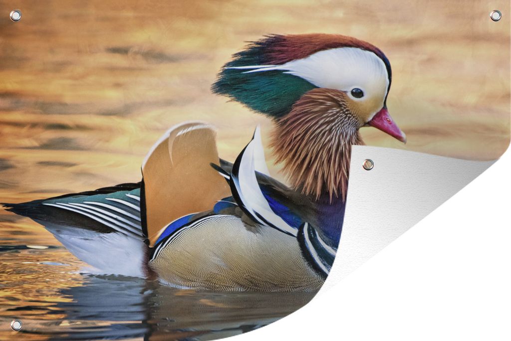 MuchoWow 90x60 cm Outdoor-Poster Gartendeko Sichtschutz Garten Poster für den Garten Ente - Wasser - Tier