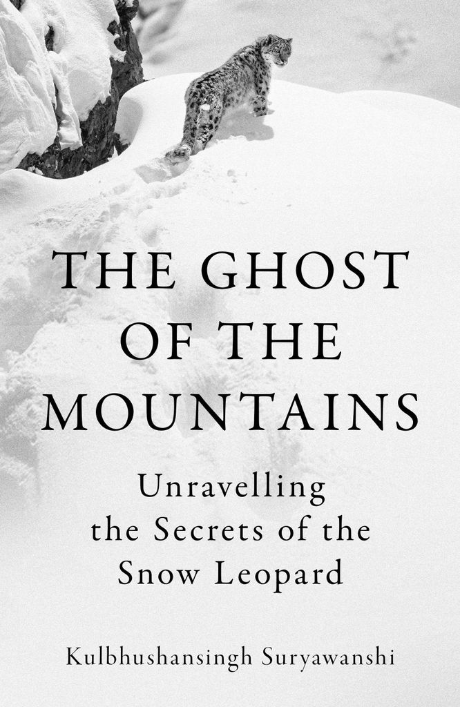 The Ghost of the Mountains Produktbild 
