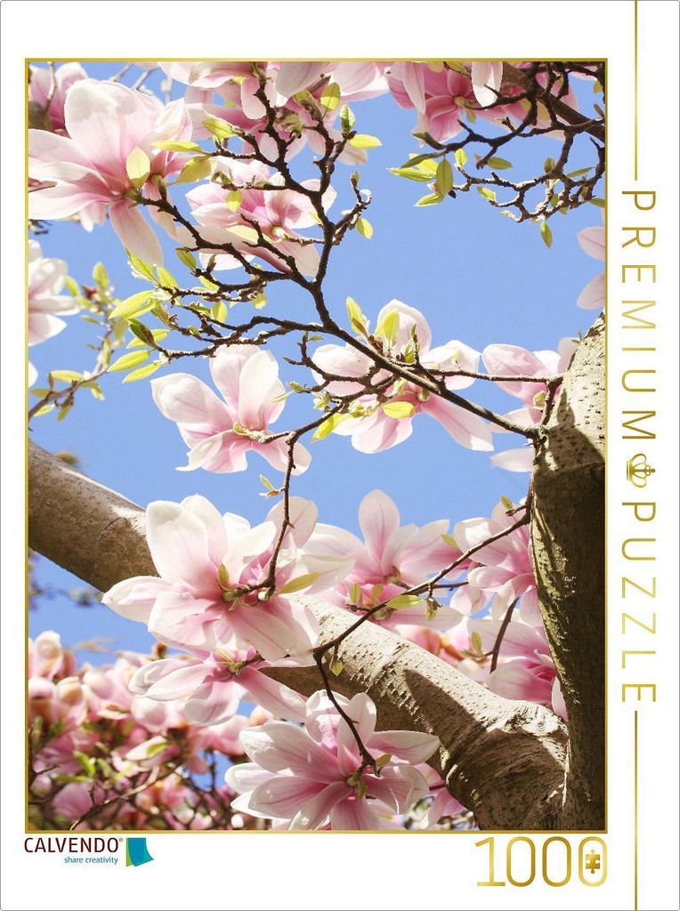 CALVENDO Puzzle Magnolienblüten vor blauem Himmel | 1000 Teile Lege-Größe 64x48cm Foto-Puzzle für glückliche Stunden