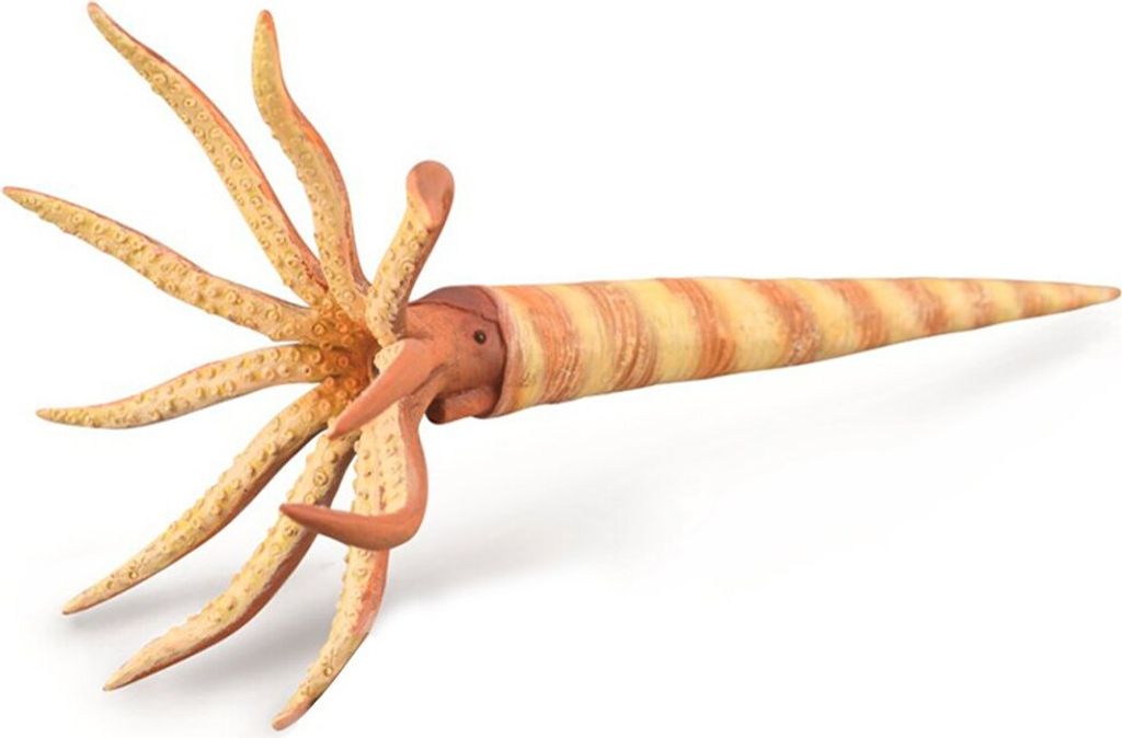 CollectA Orthoceras : Sběratelské figurky zvířat COLECTA Obrázek produktu 