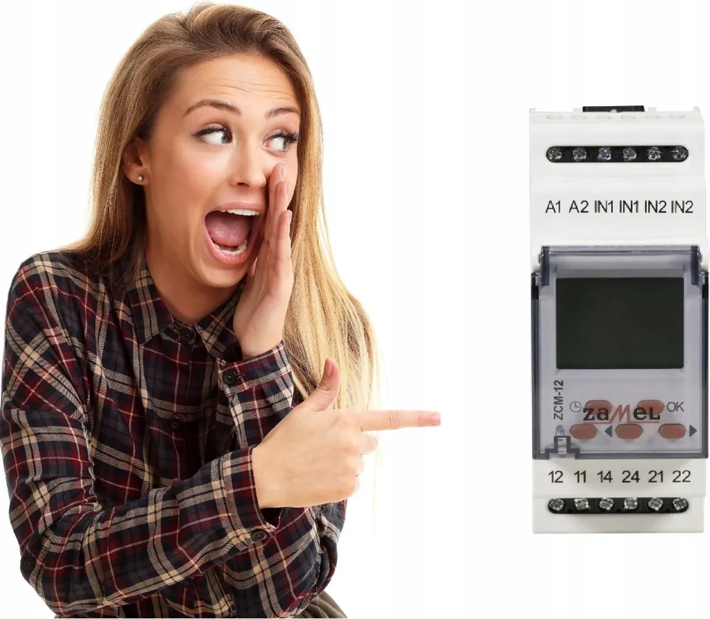 Gestionnaire d'éclairage 2 canaux ZCM-12 230V programmation 7 jours