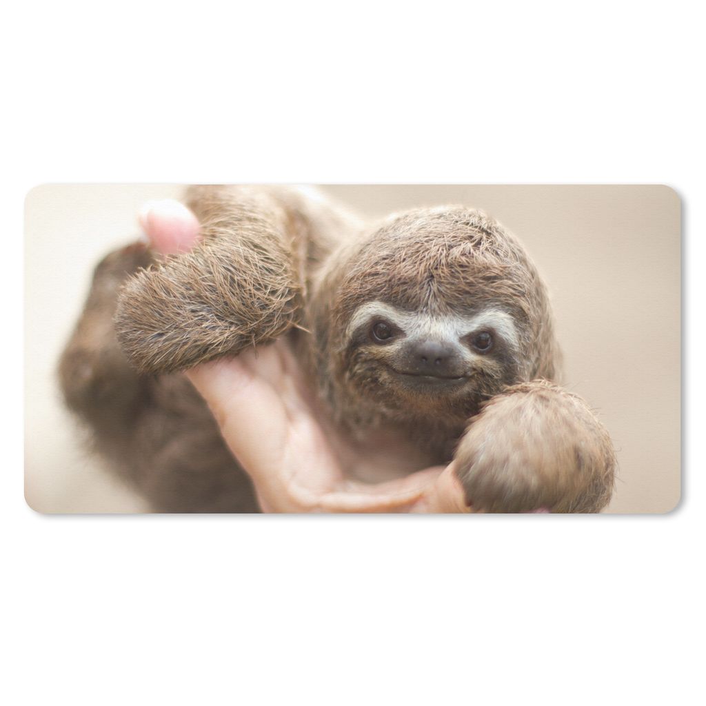 MuchoWow Schreibtischunterlage Ein junges Faultier in einer Hand 80x40 cm - XXL Mauspad - Gaming Mauspad