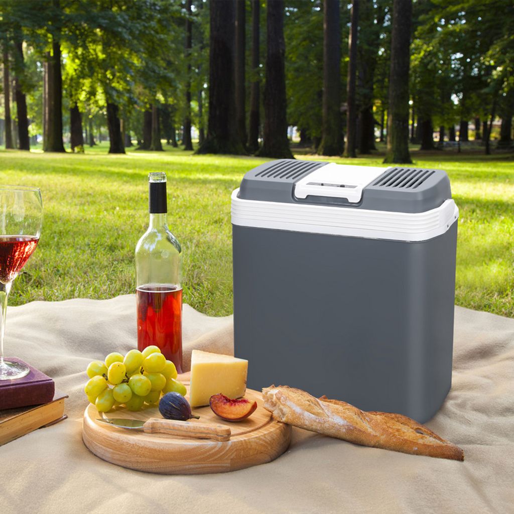 SWANEW Kühlbox elektrisch 24L Mini-Kühlschrank 230 V und 12 Produktbild 7
