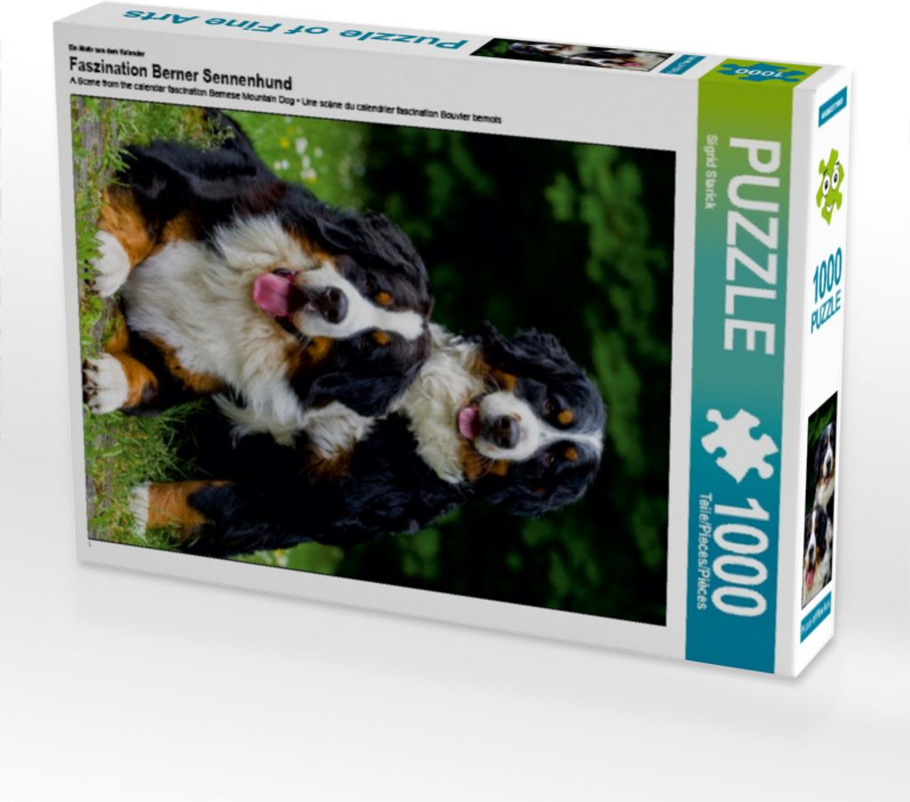 Calvendo Ein Motiv aus dem Kalender Faszination Berner Sennenhund 1000 Teile Puzzle hoch 480x640mm, Starick Sigrid; 7355442