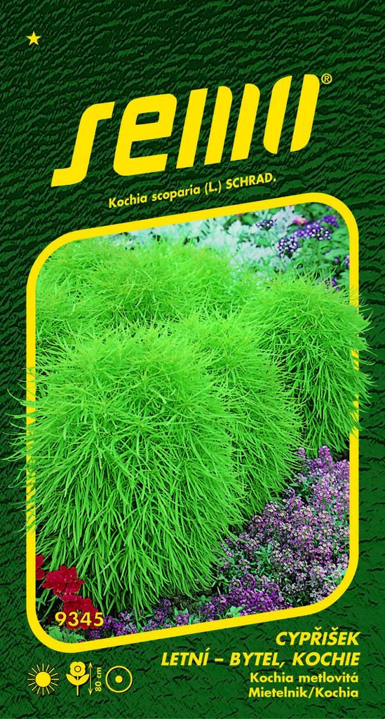 Cypřišek letní - Kochie 0,7g Obrázek produktu 