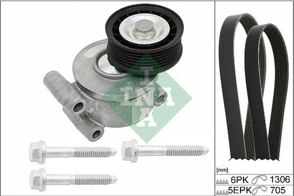 Kit distribution pour entretien Ford Focus et C-Max 1232500
