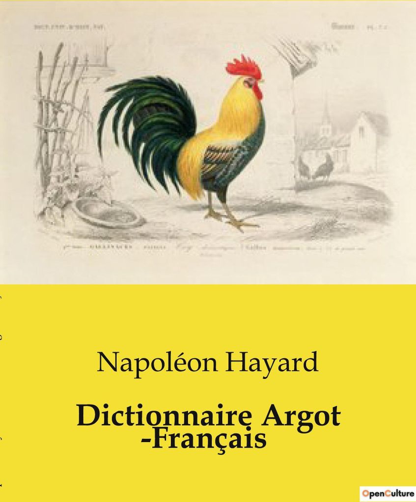 Dictionnaire Argot Français