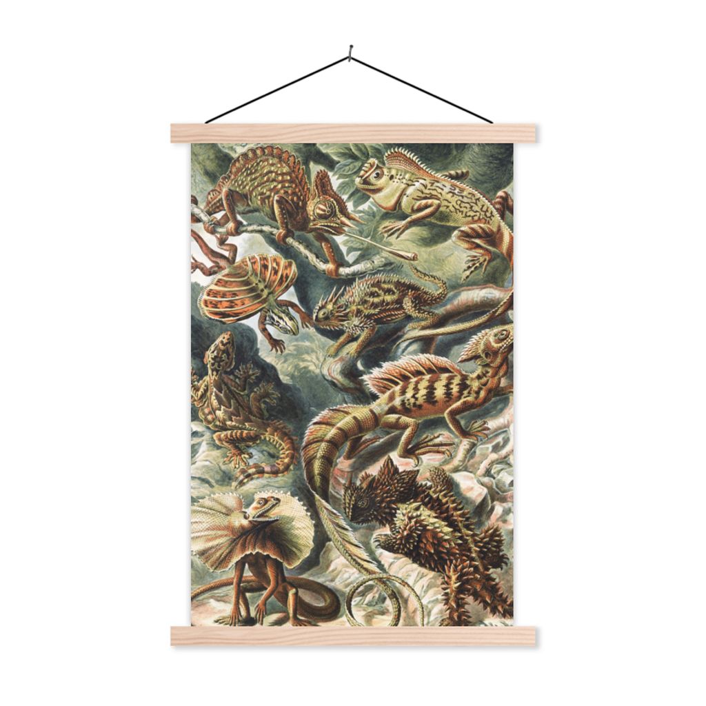MuchoWow Textilposter Jahrgang - Kunst - Ernst Haeckel - Salamander - Tiere 40x60 cm mit holzfarbenen Rahmen - Poster