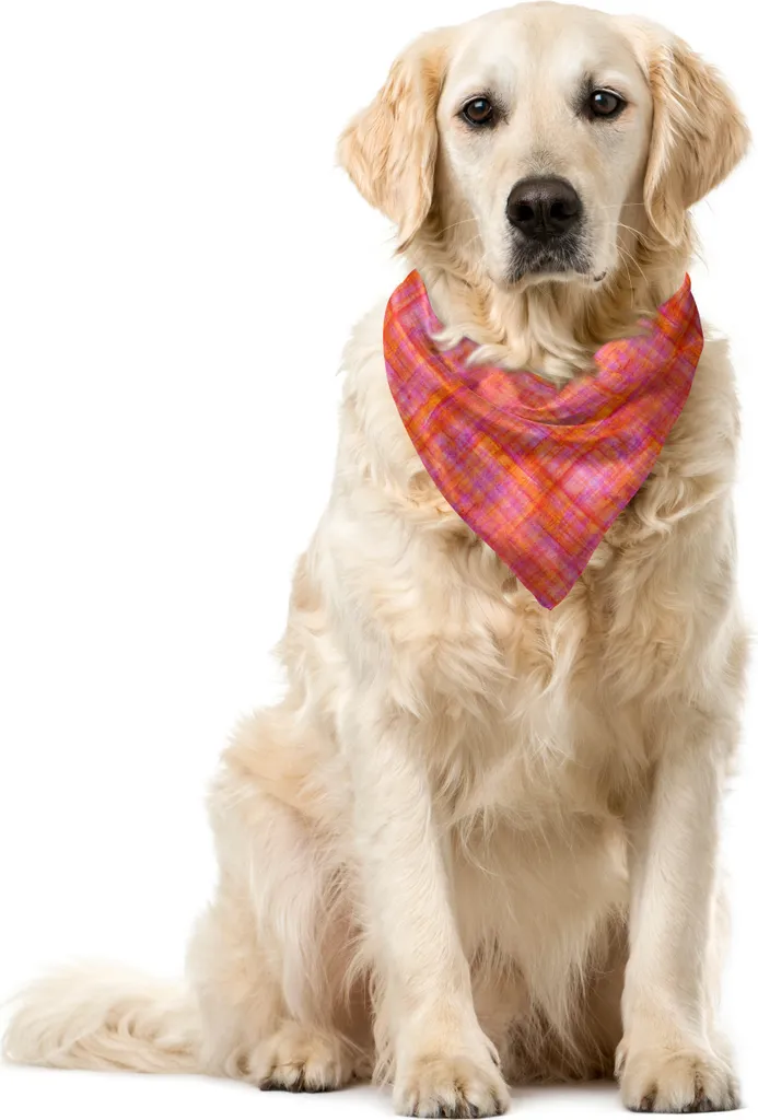 Bandana ABAKUHAUS Cani Taglia Media/Grande Tartan Fucsia 55cm