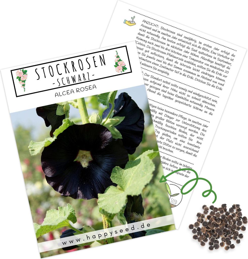 Stockrosen Samen zweijährig (Alcea Rosea) - Wunderschöne Rosen mit langer Blütezeit für besondere Akzente in Ihrem Blumenbeet (Schwarz)