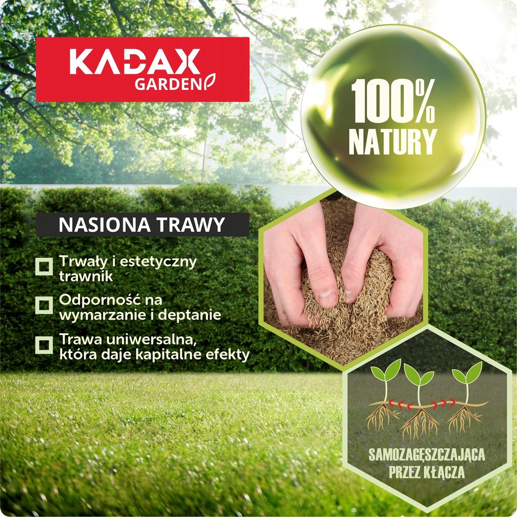 KADAX trávne osivo, 400 m2, trávne osivo, univerzálny Obrázok produktu 3