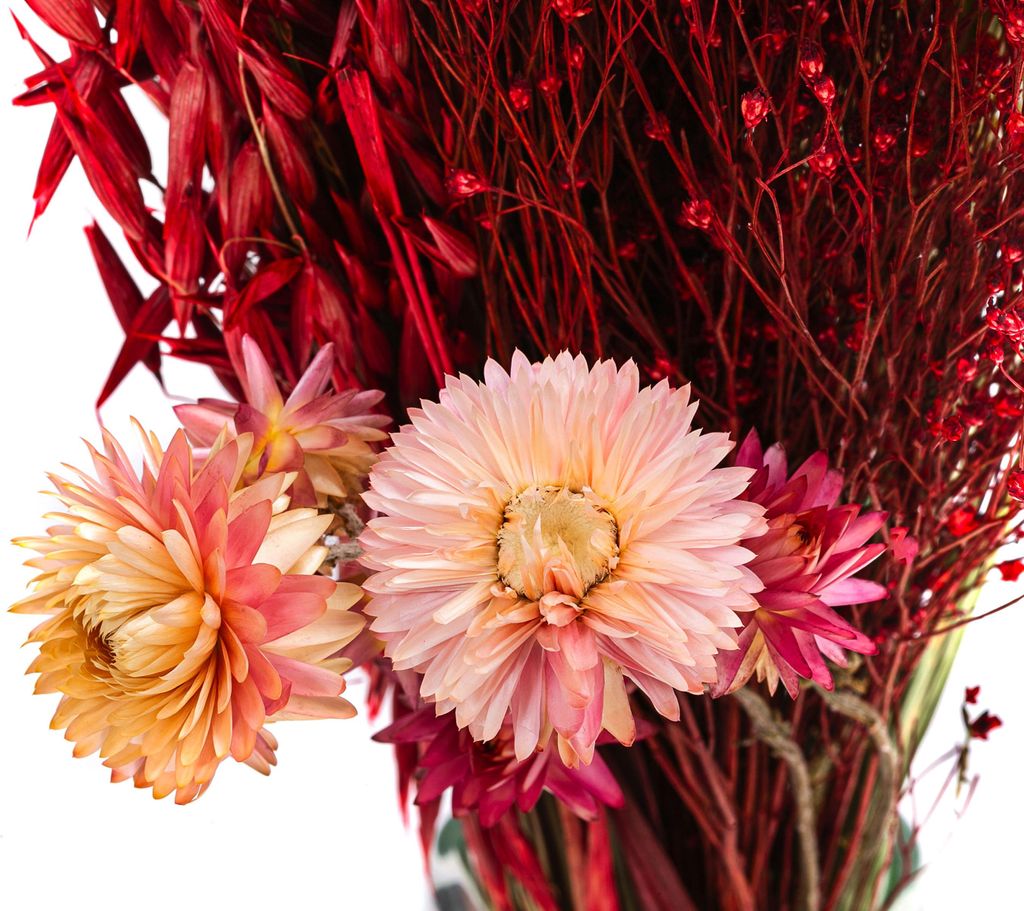Dehner Blumenstrauß aus Trockenblumen, Blumen-Bouquet