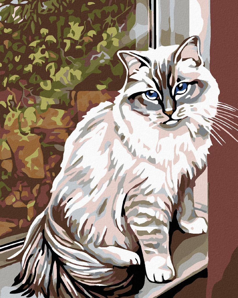 Zuty - Malen nach Zahlen - WEIßE KATZE IM FENSTER, 40x50 cm, ohne Keilrahmen
