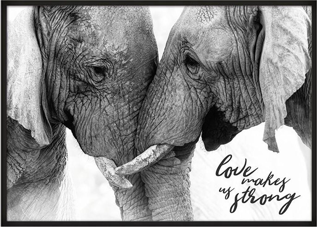 Bild Poster im Rahmen 43x33 cm Elefanten P665